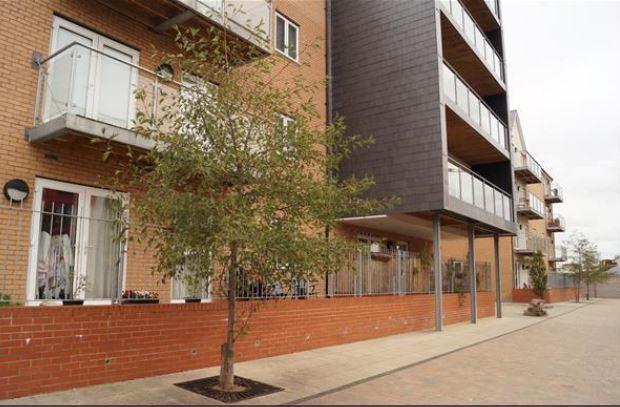 Vetrelax Chelmsford Apartment Luaran gambar